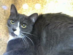 Sally image 1