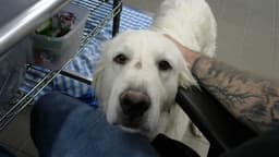 Charlotte image 1