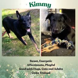 Kimmy image 2