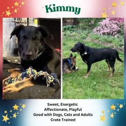 Kimmy image 1