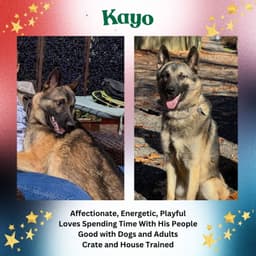 Kayo image 1