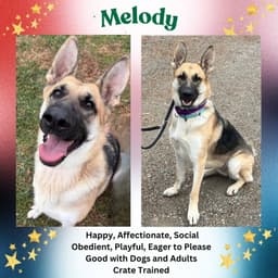 Melody image 1