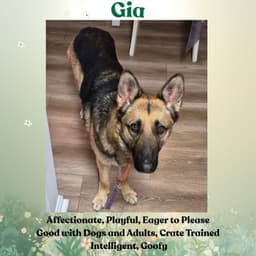 Gia image 2
