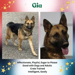Gia image 1