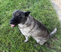 Zoey image 4