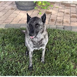 Zoey image 1