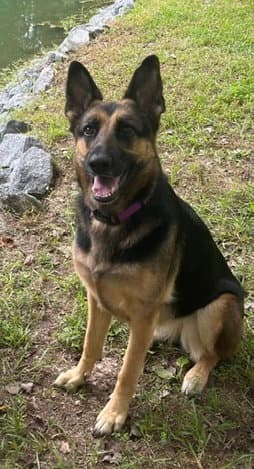 Jillian image 1