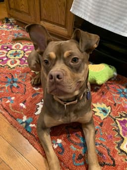 Twix image 2