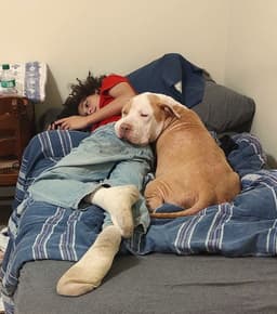 Teddy - Adopted image 4