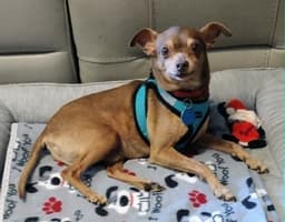 Otis image 1