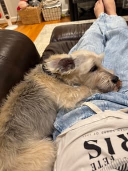 Murphy image 4