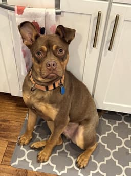 Twix image 1