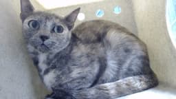 Mama Mabel image 1