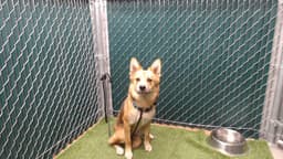 Unknown image 1