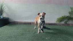 Nina image 1
