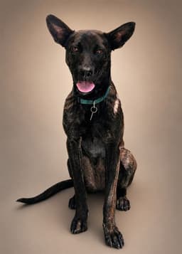 Raspberry image 1