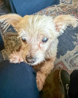 Betty image 3