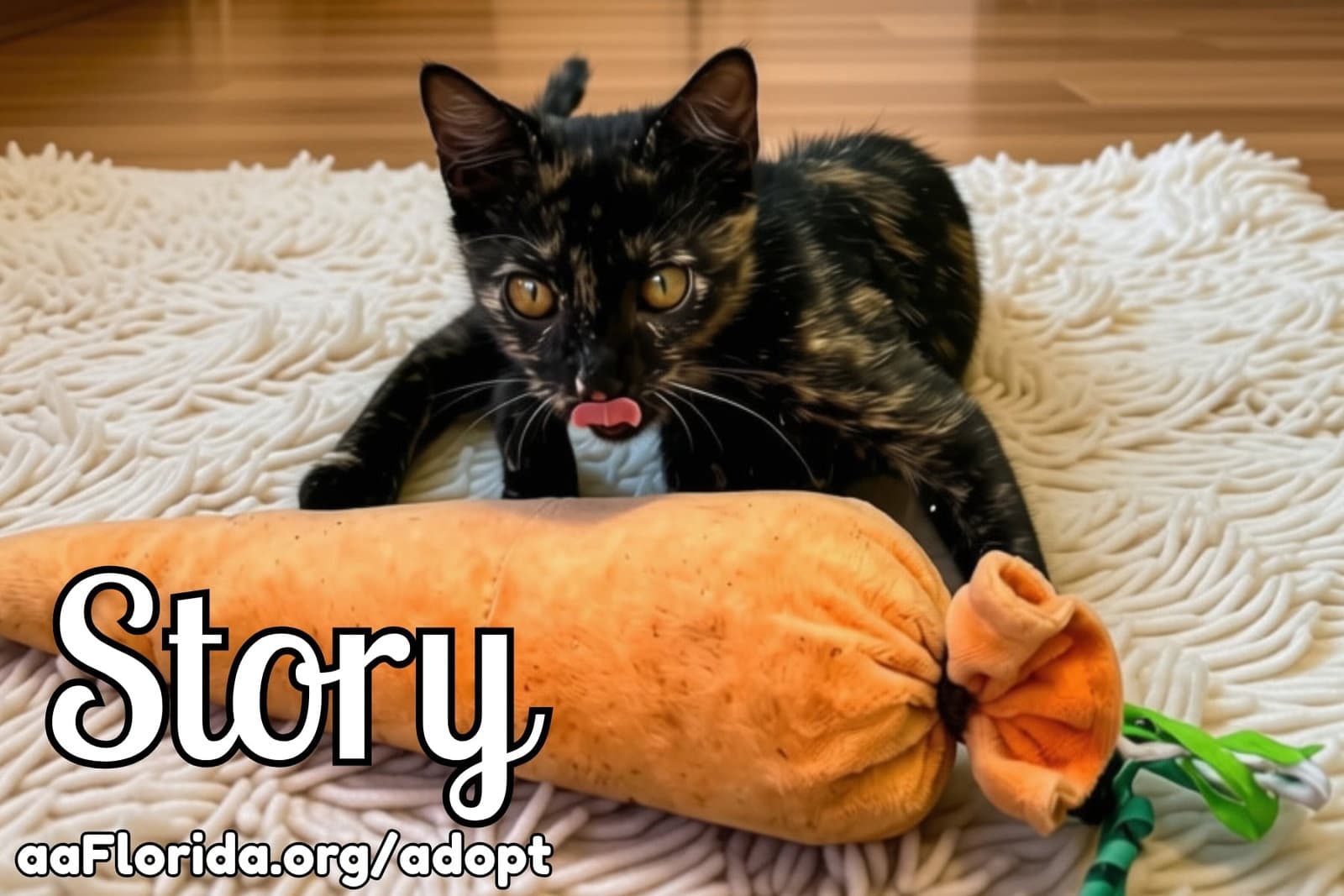 Story - Tortoiseshell