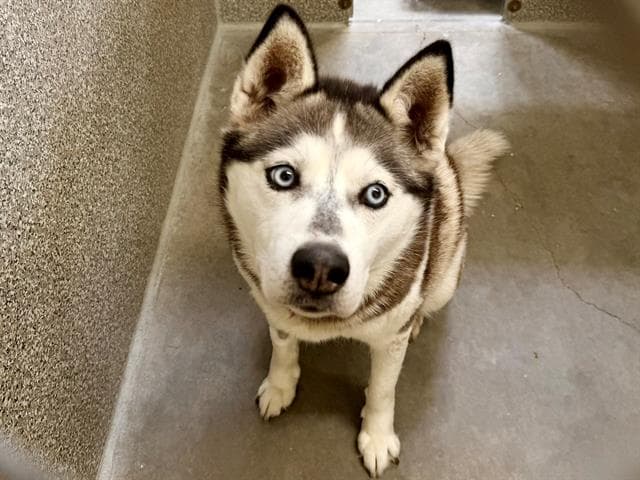 Bella