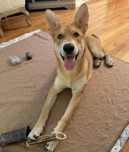 Winnie image 3
