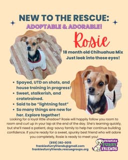 Rosie image 3