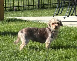 Avery image 3