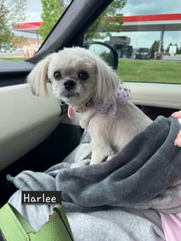 Harlee - Os image 4