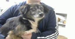 Lola image 1