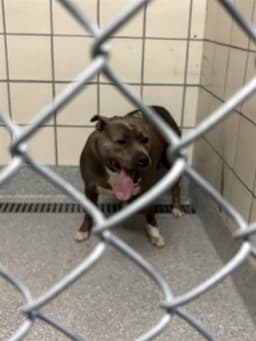 Unknown image 1
