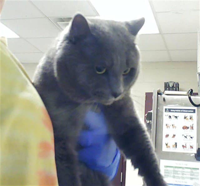 Jinx
