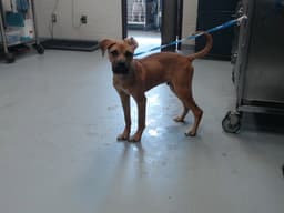 Naboo image 1