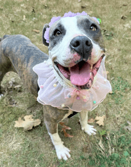 Pretty Princess Foster Needed Too image 3