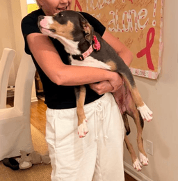 Mama Urgent Foster Needed Too image 4