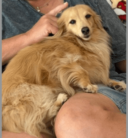 Abby Bonded With Bb image 2
