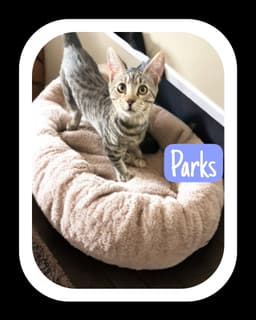 Parks image 1