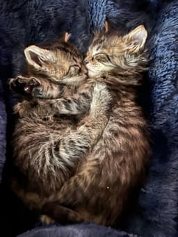 Happy image 3
