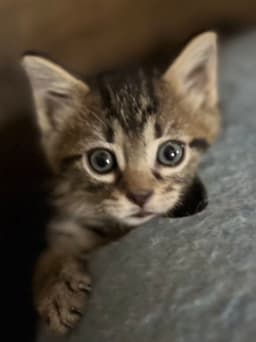 Happy image 1