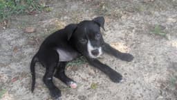 Tisha image 4