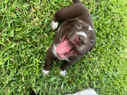 Tootsie image 3