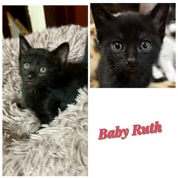 Baby Ruth Kk image 1