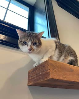 Fiona image 1