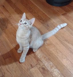 Monty image 2