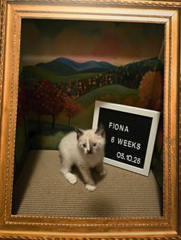 Fiona image 2