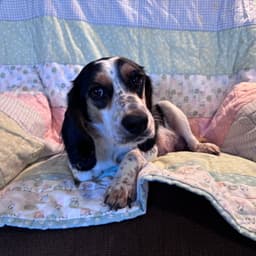 Mia image 2