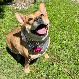 Ethel image 2