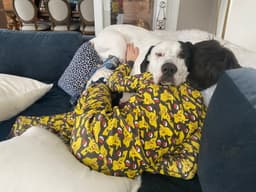 Finn image 4