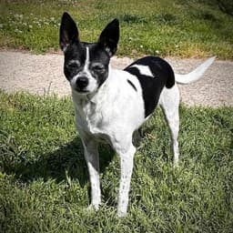 Millie Nc image 1