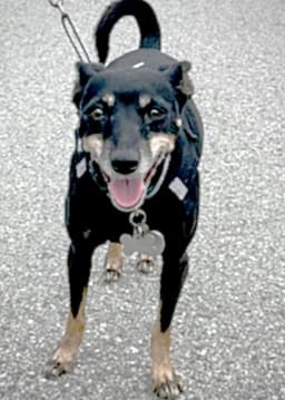 Lola Ca image 4