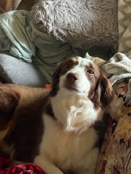 Missy image 4