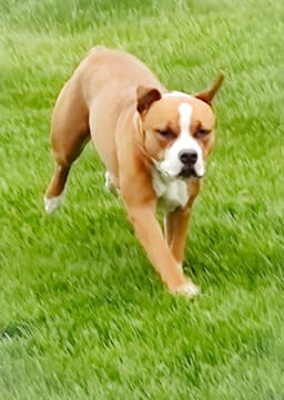 Fergie-Faye image 4